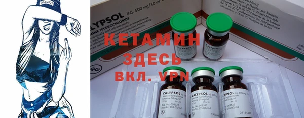 сатива Вяземский
