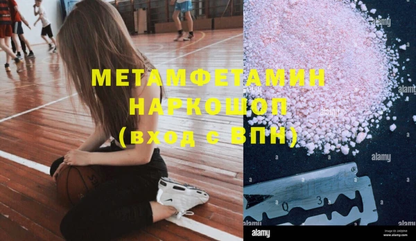 сатива Вяземский