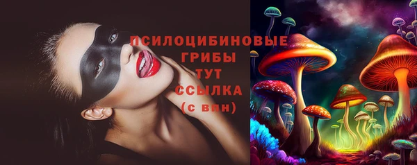 прущая мука Вязьма