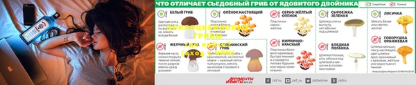 сатива Вяземский