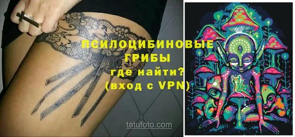 дживик Вязники