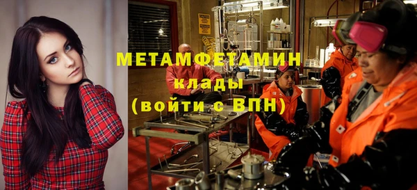 сатива Вяземский